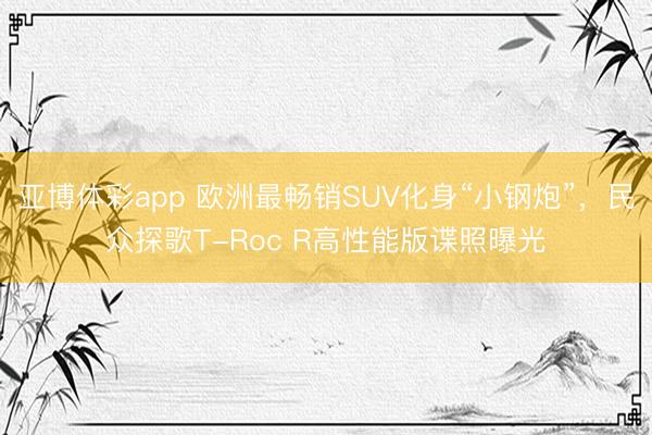 亚博体彩app 欧洲最畅销SUV化身“小钢炮”,民众探歌T-Roc R高性能版谍照曝光