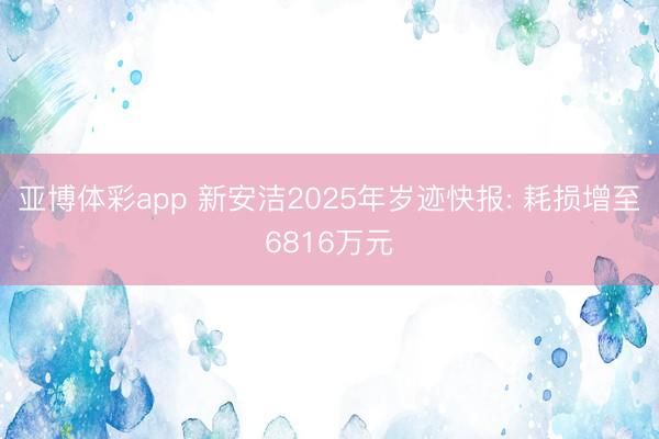 亚博体彩app 新安洁2025年岁迹快报: 耗损增至6816万元