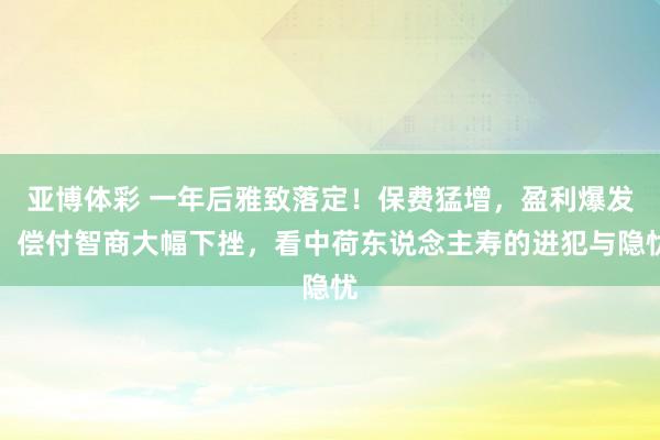 亚博体彩 一年后雅致落定！保费猛增，盈利爆发，偿付智商大幅下挫，看中荷东说念主寿的进犯与隐忧