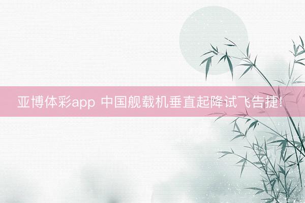 亚博体彩app 中国舰载机垂直起降试飞告捷! ️