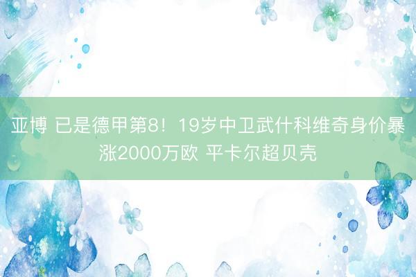 亚博 已是德甲第8!19岁中卫武什科维奇身价暴涨2000万欧 平卡尔超贝壳