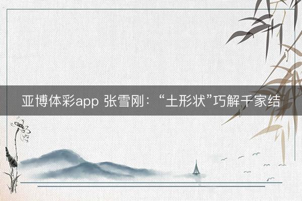 亚博体彩app 张雪刚:“土形状”巧解千家结
