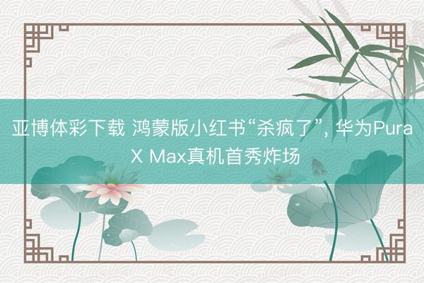 亚博体彩下载 鸿蒙版小红书“杀疯了”， 华为Pura X Max真机首秀炸场