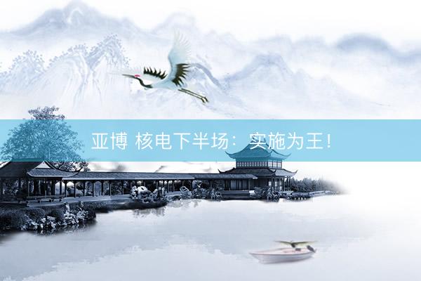 亚博 核电下半场：实施为王！
