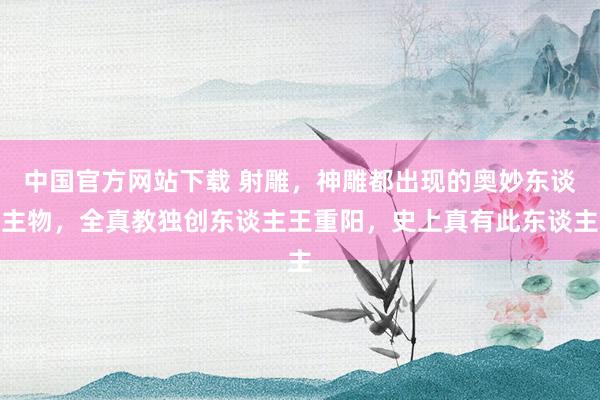 中国官方网站下载 射雕,神雕都出现的奥妙东谈主物,全真教独创东谈主王重阳,史上真有此东谈主