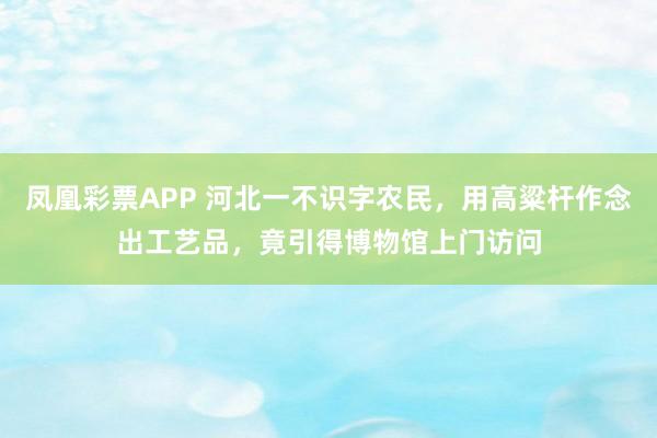 凤凰彩票APP 河北一不识字农民,用高粱杆作念出工艺品,竟引得博物馆上门访问