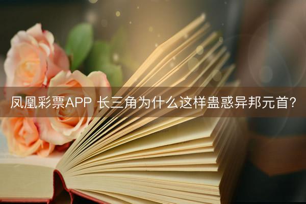 凤凰彩票APP 长三角为什么这样蛊惑异邦元首?