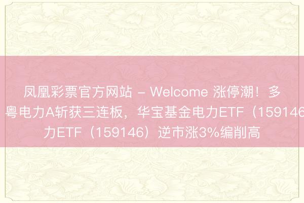 凤凰彩票官方网站 - Welcome 涨停潮!多地电力负荷编削高,粤电力A斩获三连板,华宝基金电力ETF(159146)逆市涨3%编削高