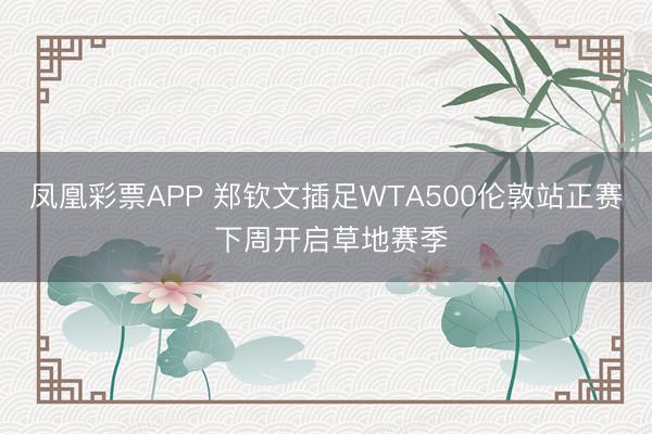 凤凰彩票APP 郑钦文插足WTA500伦敦站正赛 下周开启草地赛季