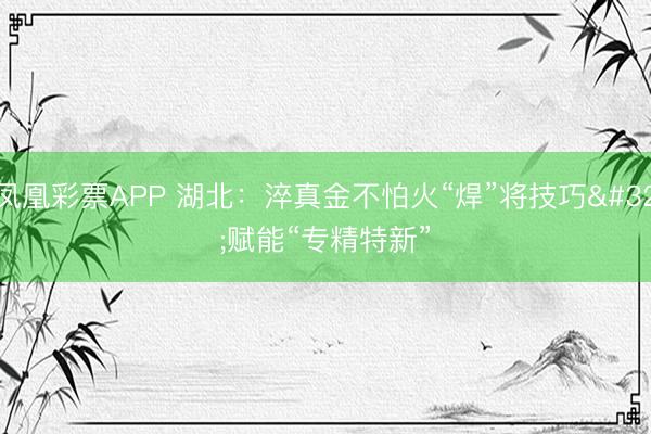 凤凰彩票APP 湖北:淬真金不怕火“焊”将技巧 赋能“专精特新”
