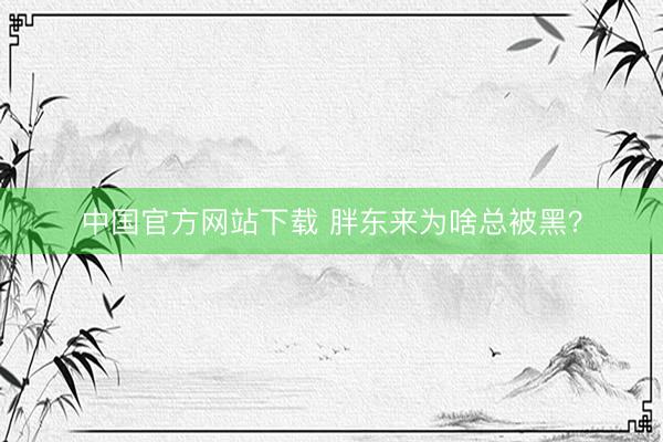 中国官方网站下载 胖东来为啥总被黑？